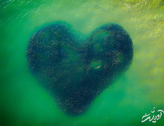 ۱۶ عکس هوایی برگزیده + تصاویر